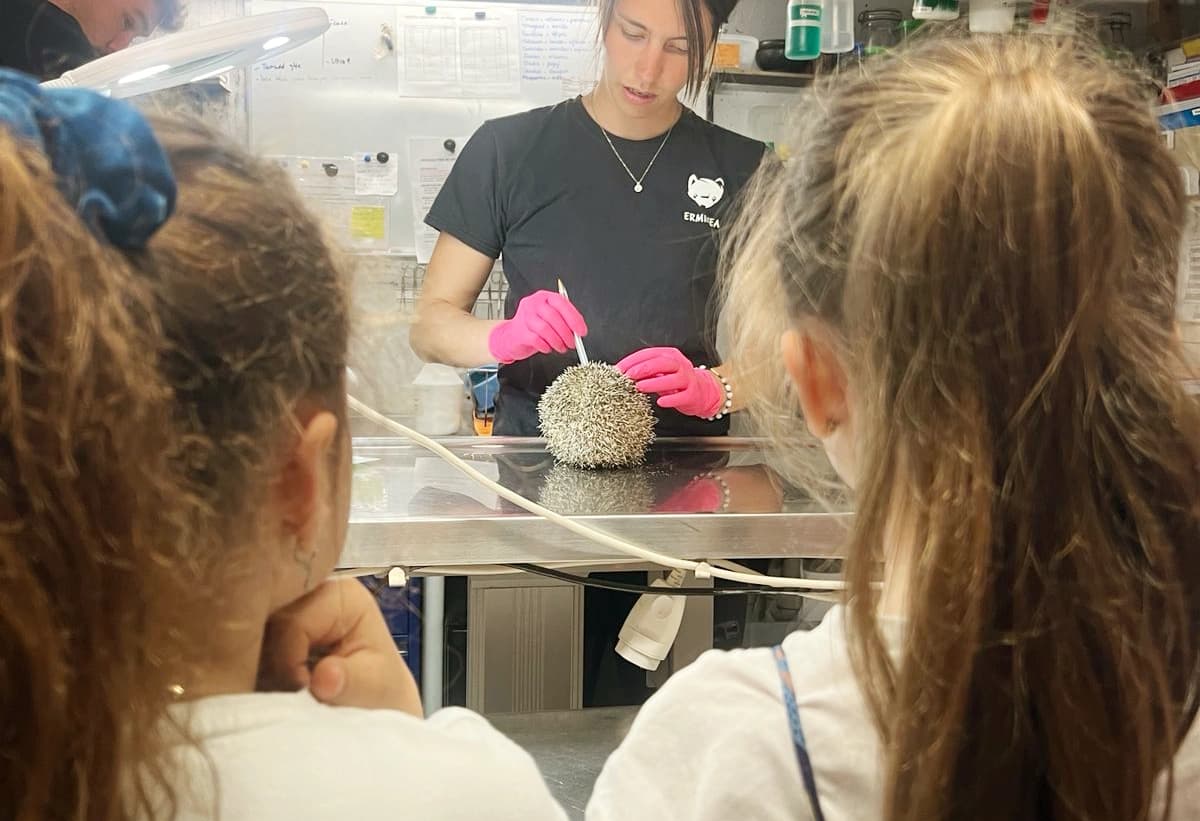 Pour le public et la pédagogie