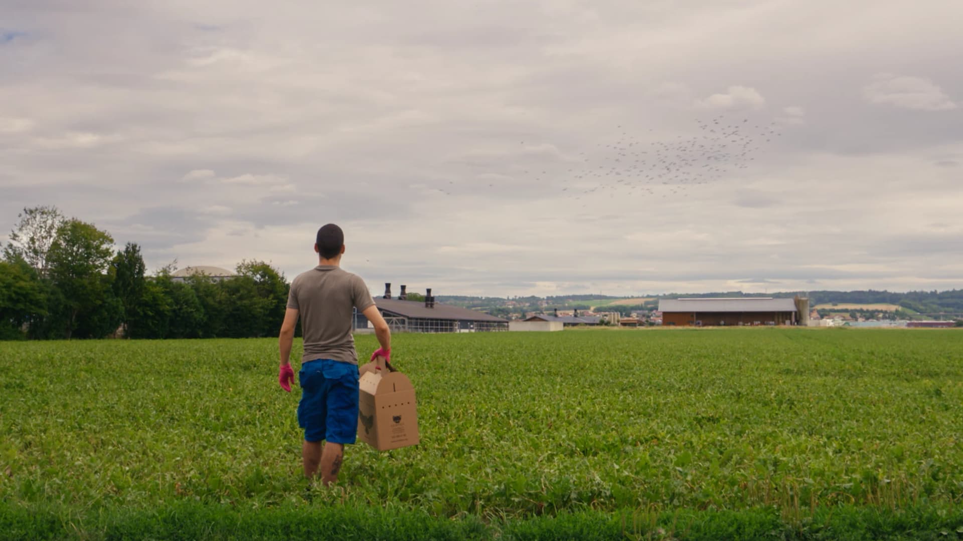 Pour l’insertion sociale